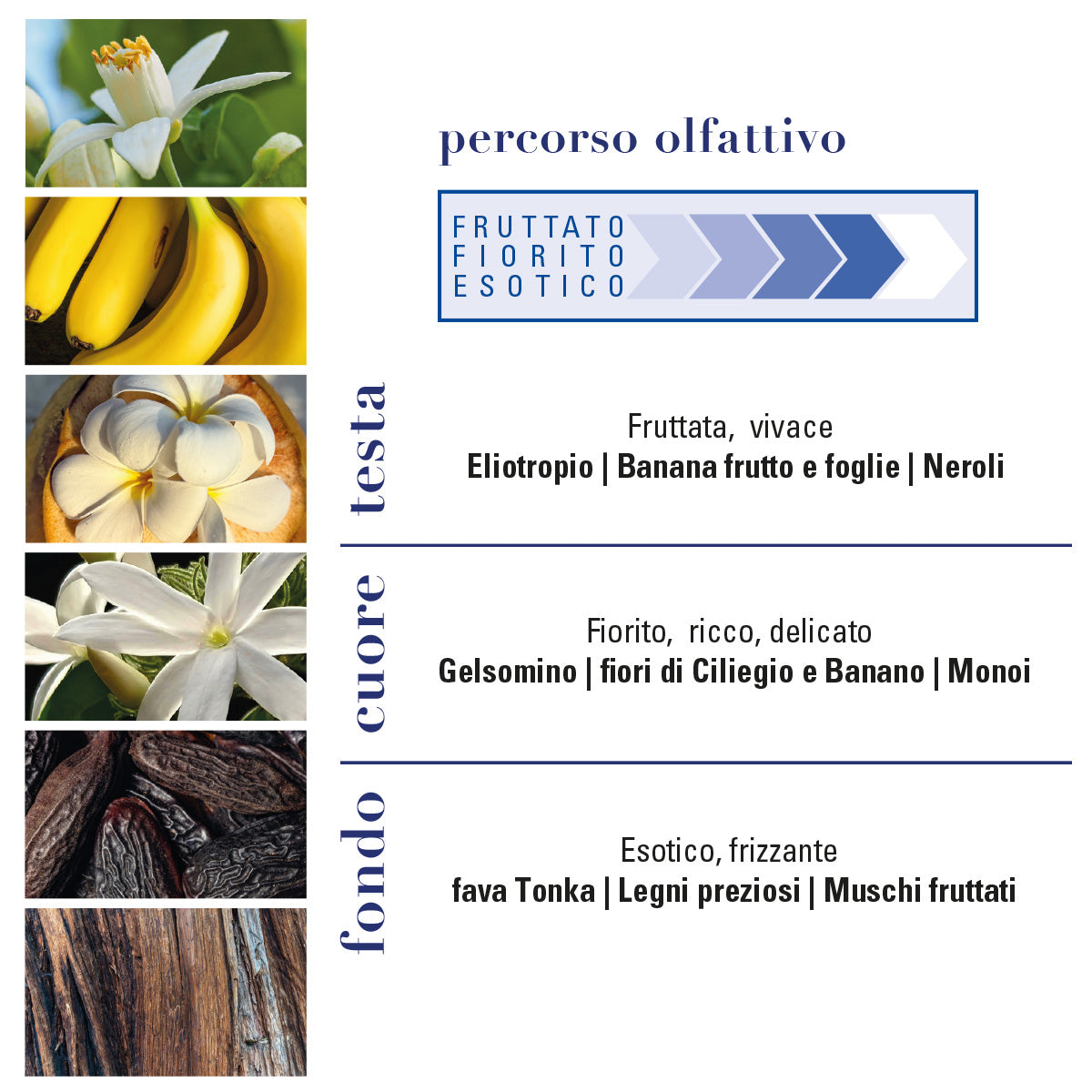 MONOÏ de TAHITI Monoi Paradis Eau de Toilette