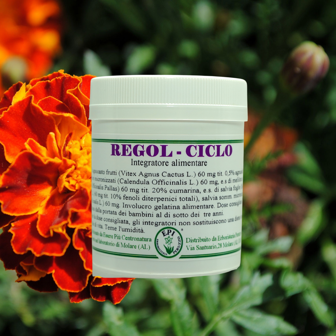 Regol ciclo