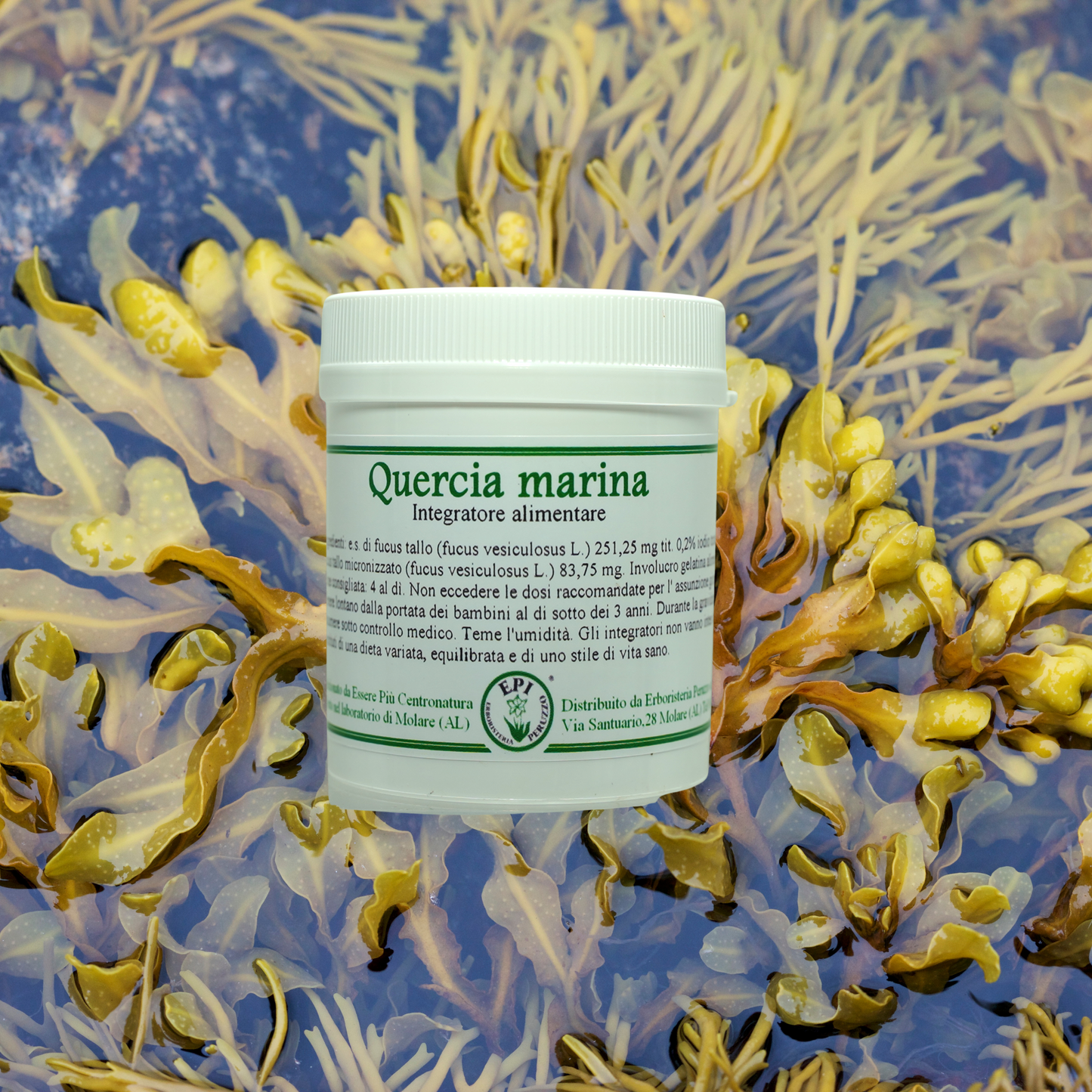 Quercia Marina