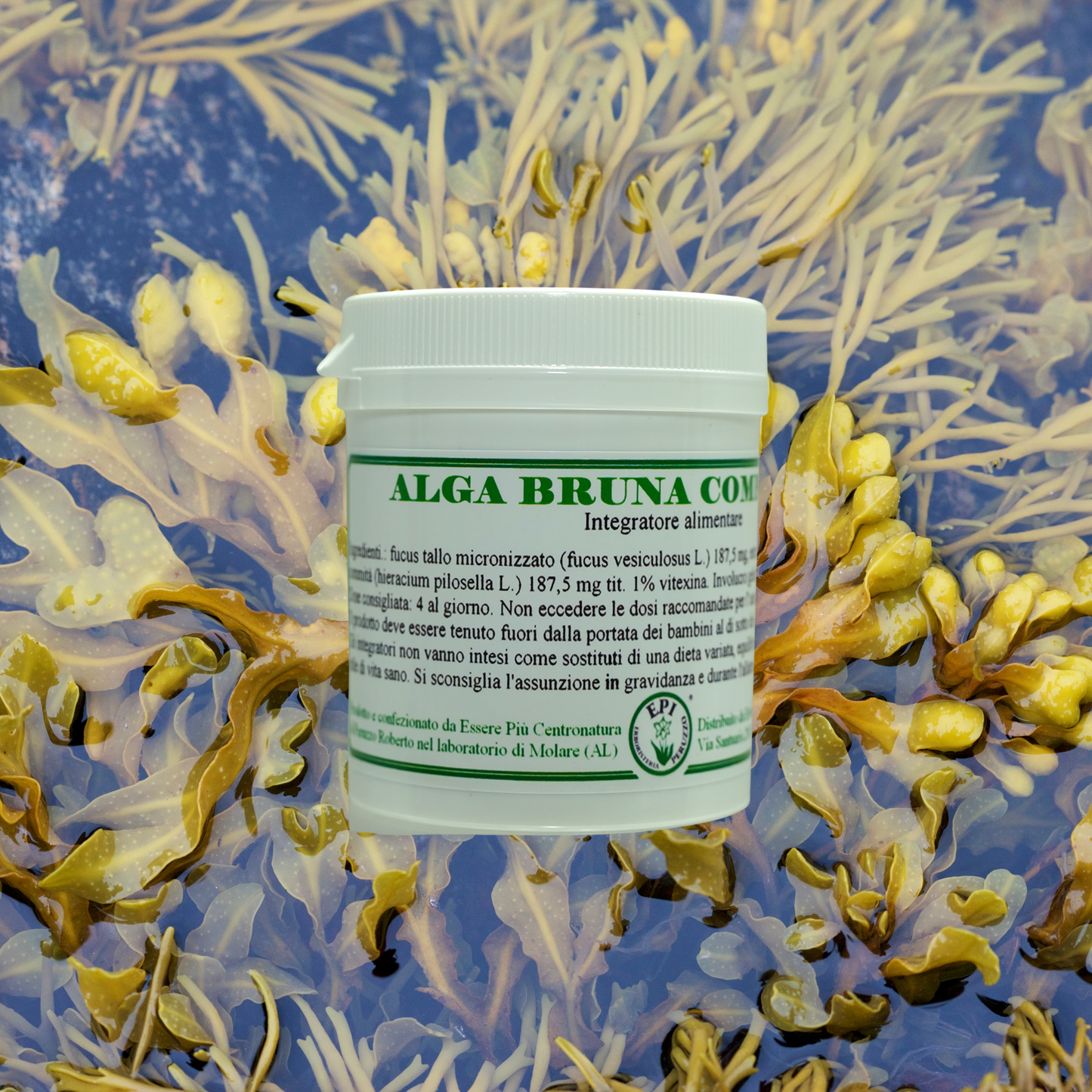 Alga Bruna Composta