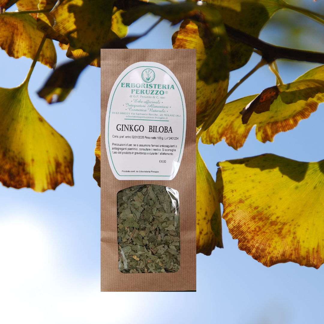 Ginkgo Biloba