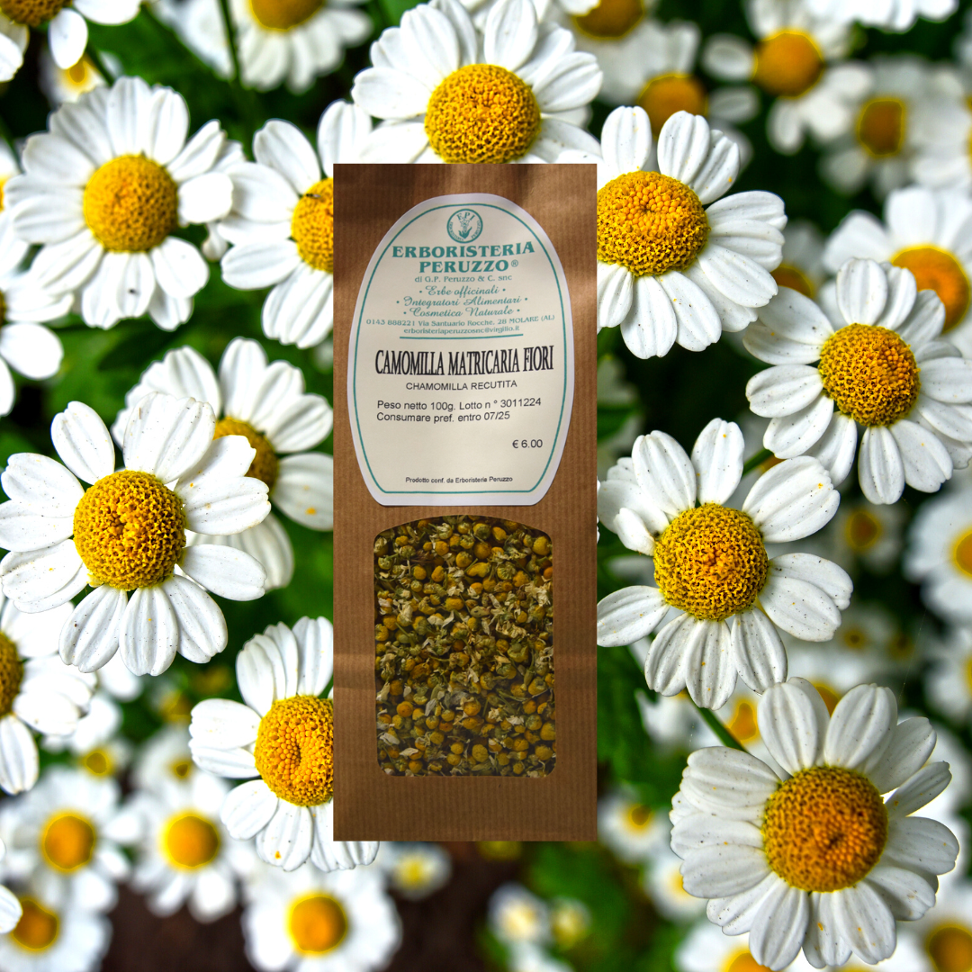 Camomilla