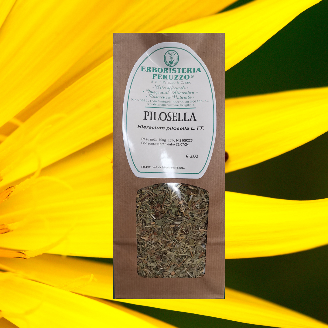Pilosella