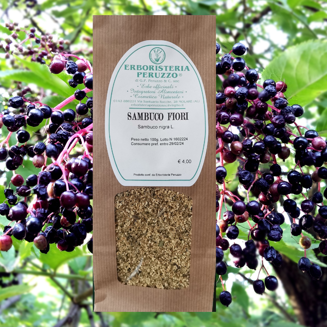 Sambuco fiori mondi
