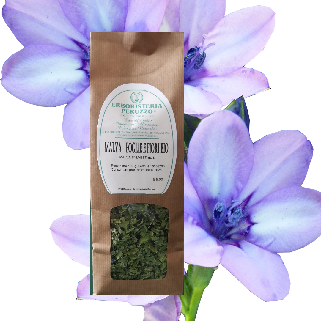 Malva fiori e foglie