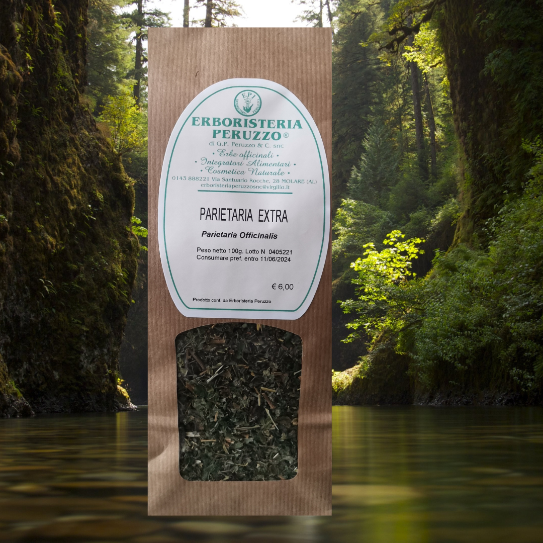 Parietaria