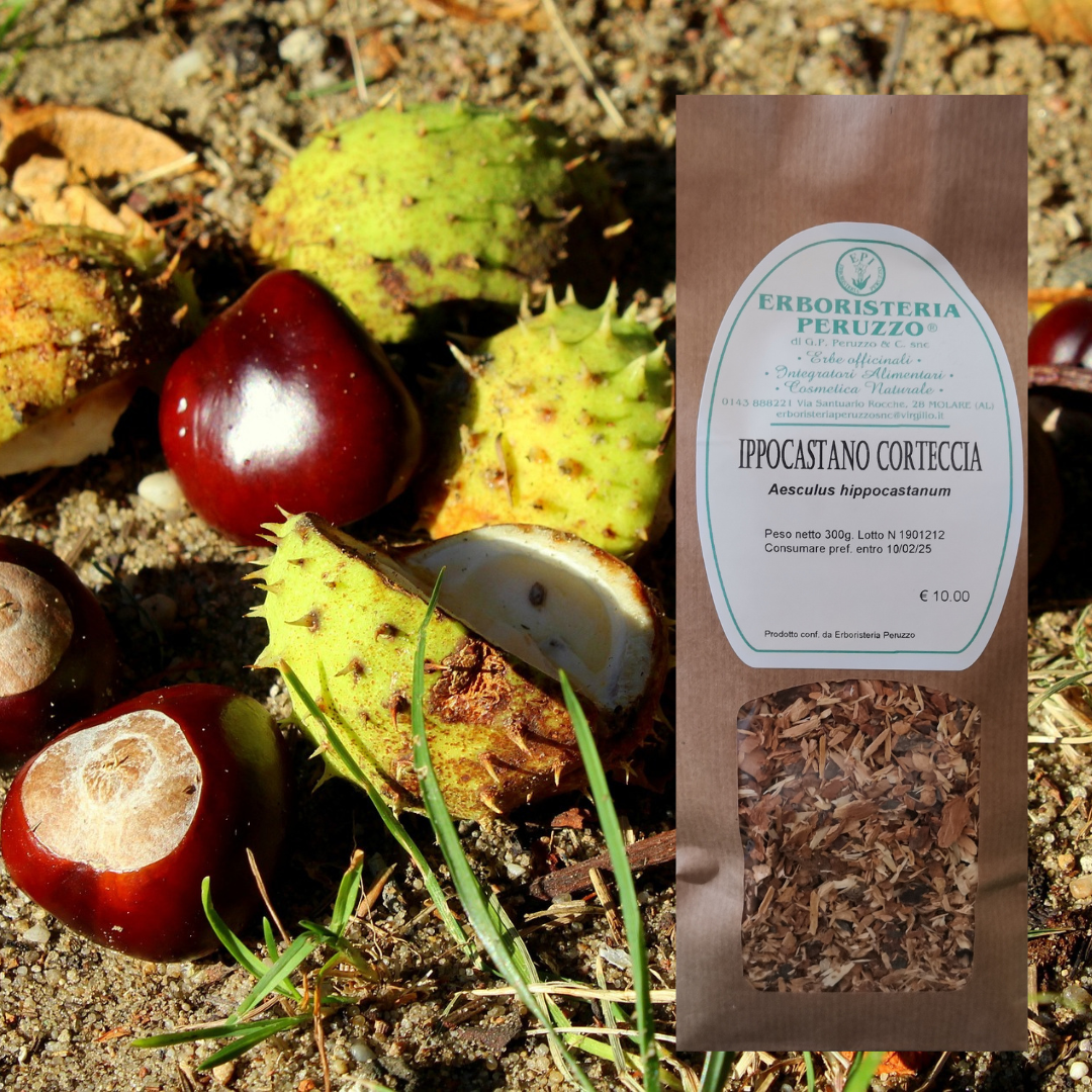 Ippocastano corteccia