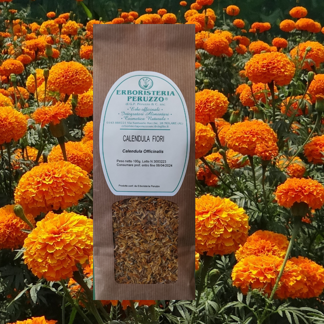 Calendula fiori