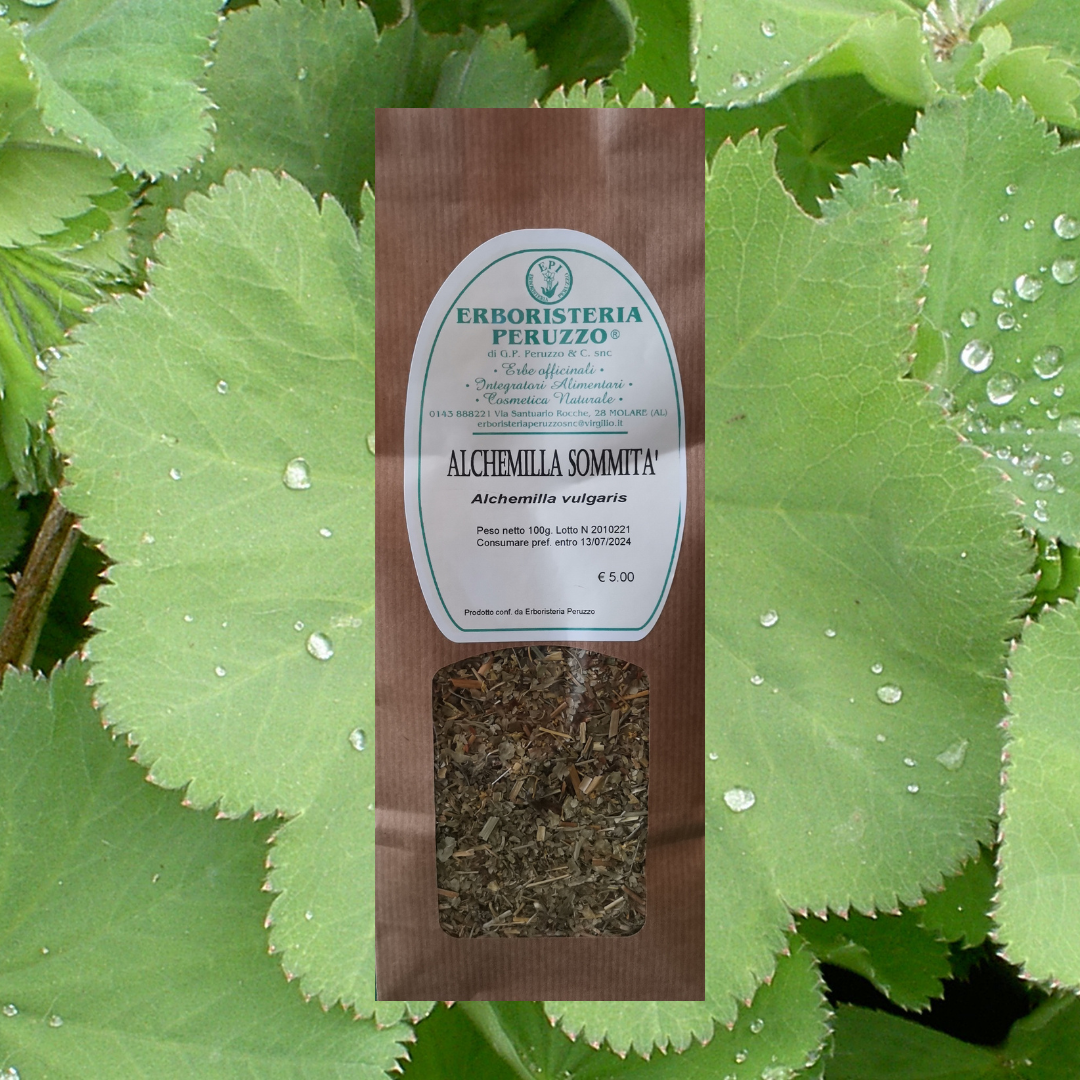 Alchemilla Sommità