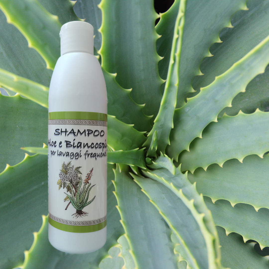 Shampoo Aloe e Biancospino