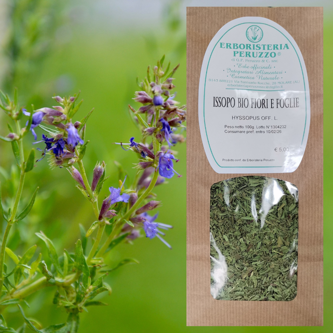 Issopo bio fiori e foglie
