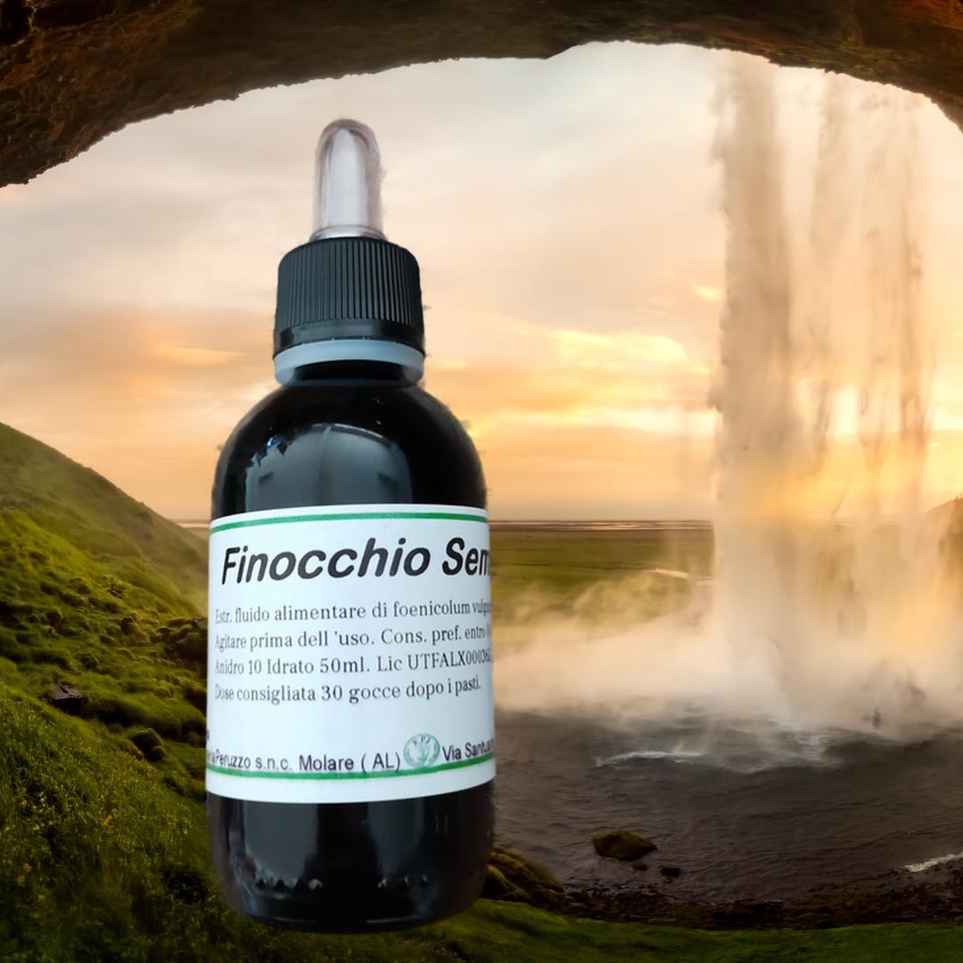 Finocchio semi