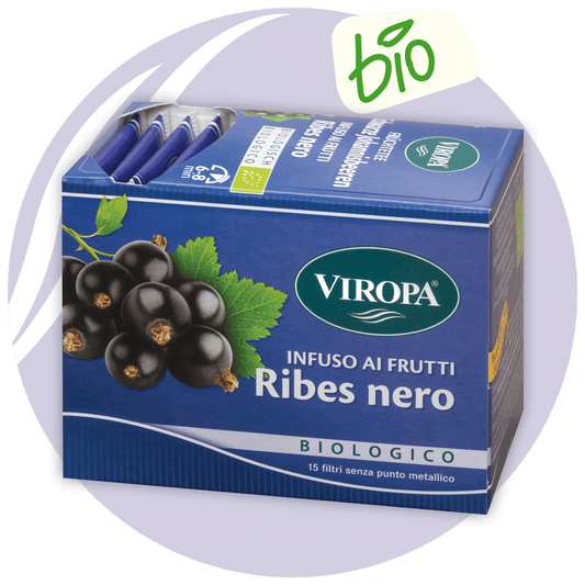 Ribes nero