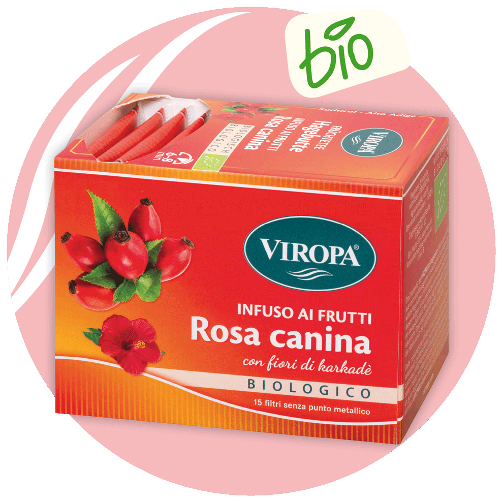 Rosa canina bio