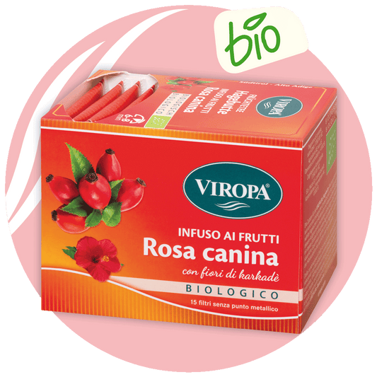 Rosa canina bio