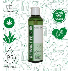 Dermactive shampoo alla clorexidina anti-prurito