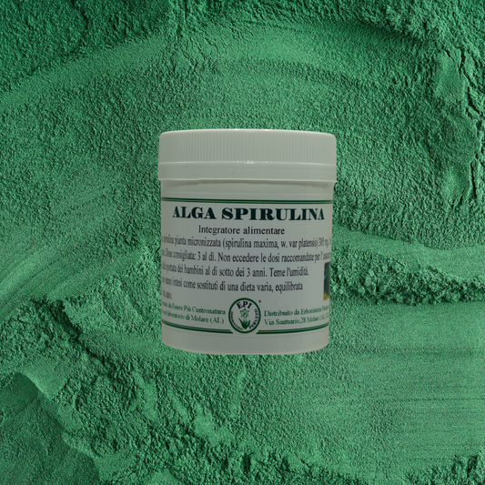 Alga spirulina