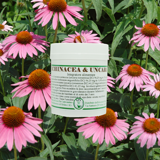 Echinacea & Uncaria