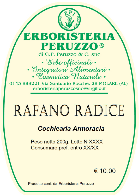 Rafano radice