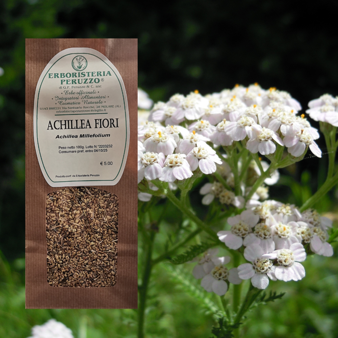 Achillea TT